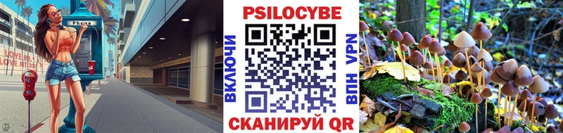 Псилоцибиновые грибы Magic Shrooms  мега tor  нарко площадка наркотические препараты  купить закладку  Мегион 